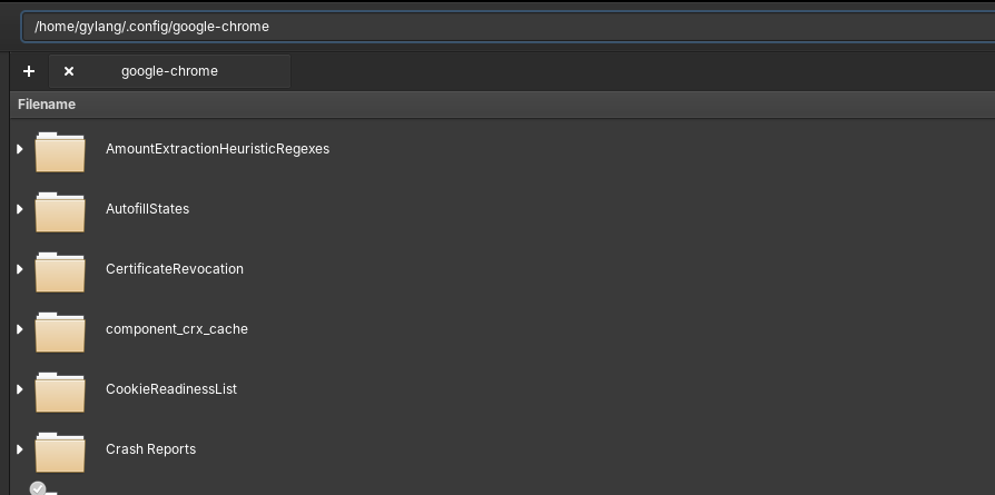 Downgrade Google Chrome di Linux: Kembalikan Ekstensi Favorit! 2 Screenshot folder profil Google Chrome di Linux