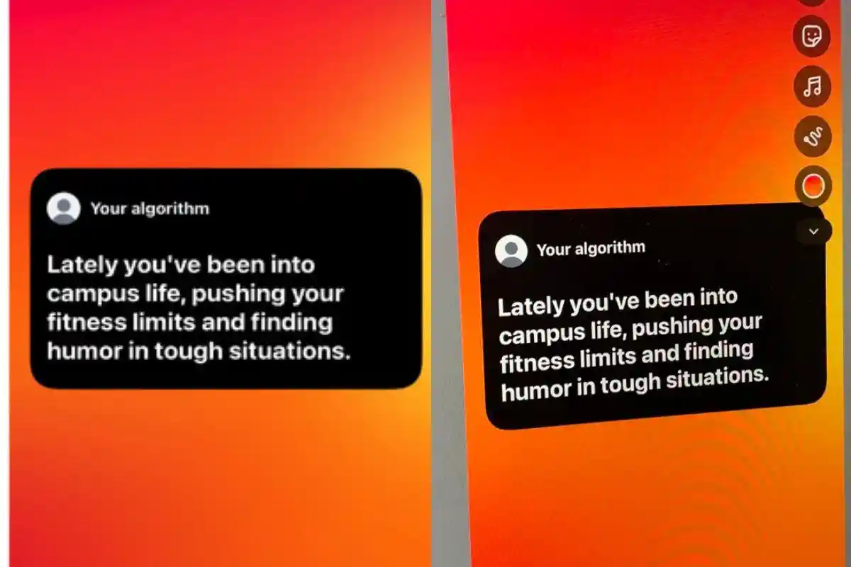 Your Algorithm Instagram: Panduan Lengkap & Tips Personalisasi 2 Tangkapan layar fitur Your Algorithm Instagram yang menampilkan rangkuman preferensi pengguna
