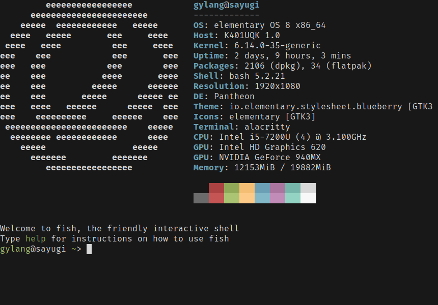 Ungoogled Chromium Browser di Linux - Panduan Instalasi & Privasi Maksimal 6 Mengelola ekstensi pihak ketiga di Ungoogled Chromium Browser