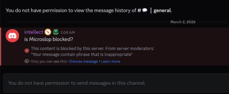 Tampilan pesan diblokir di Discord Copilot